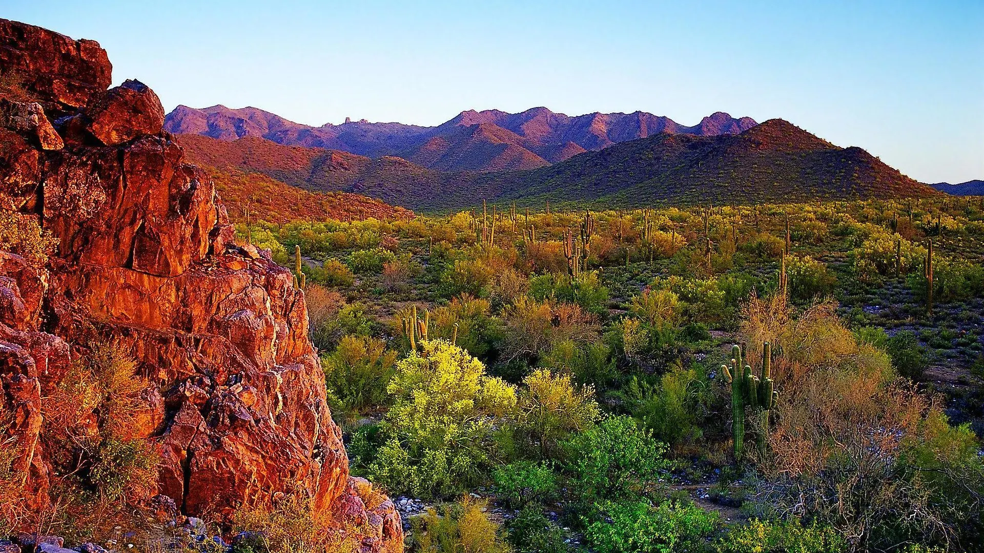 Holiday Inn Express Hotel & Suites Scottsdale - Old Town, An Ihg Hotel Resort